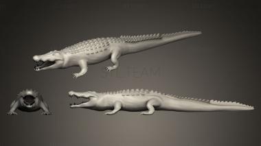 3D model Aligator (STL)